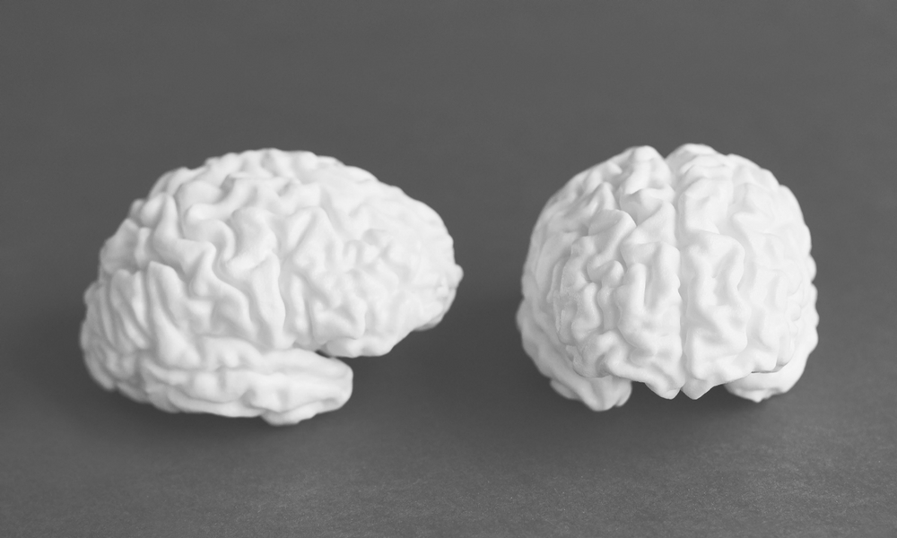 Dva bílé 3D tištěné modely mozku
